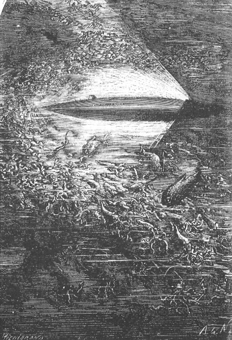 Twenty Thousand Leagues Under the Sea by Neuville and Riou 040
